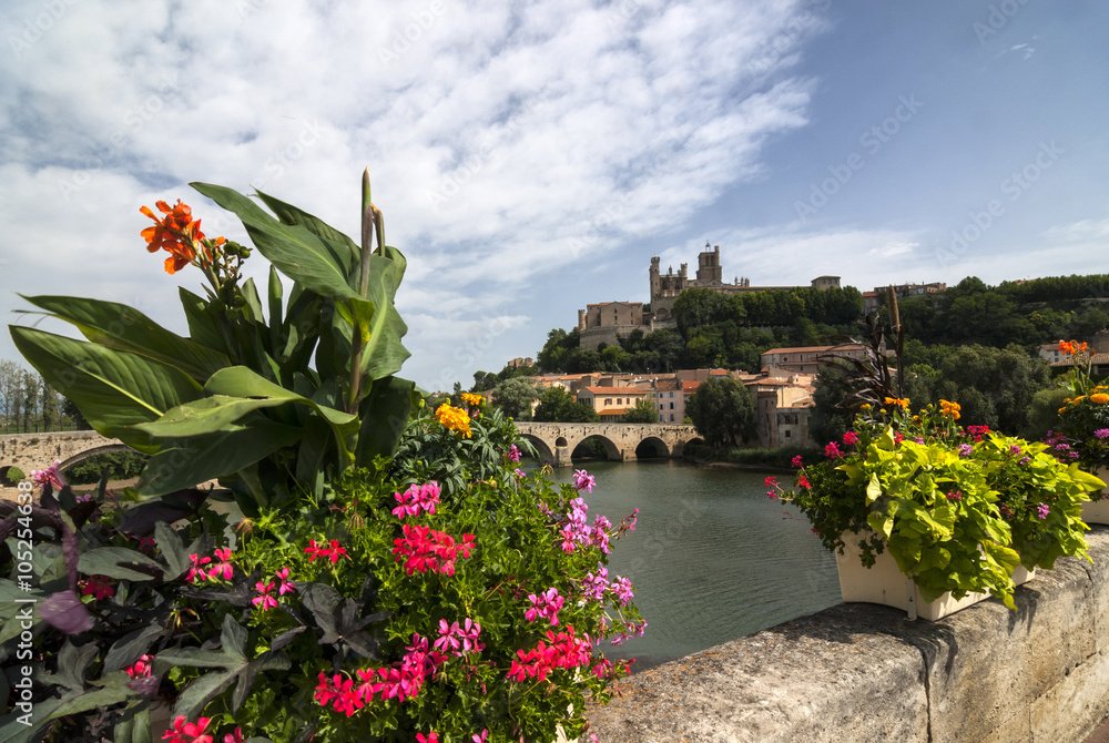 Fototapeta premium Beziers (Languedoc-Roussillon, France)