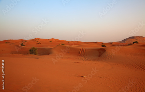 Red sand desert © swisshippo