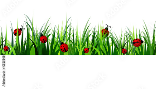  Green Grass seamless 
