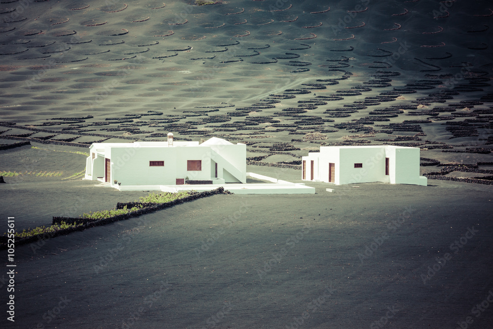 wine farm in la geria lanzarote