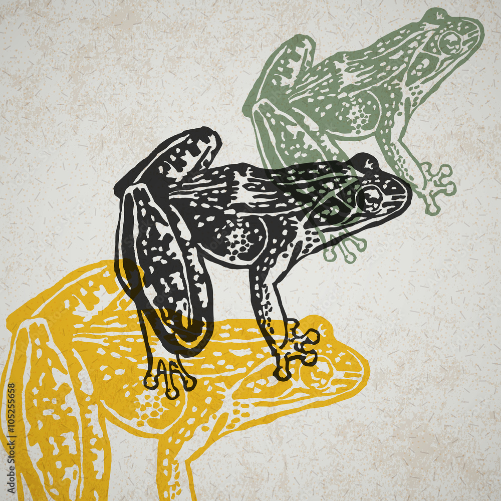 Naklejka premium Vector frog in abstract composition.