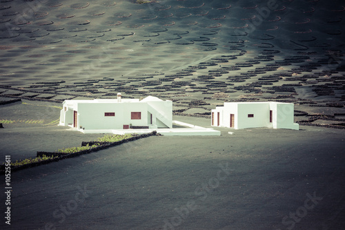 Obraz na płótnie wine farm in la geria lanzarote w salonie