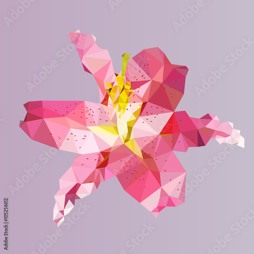 polygonal pink lily, polygon triangle flower, isolated vector