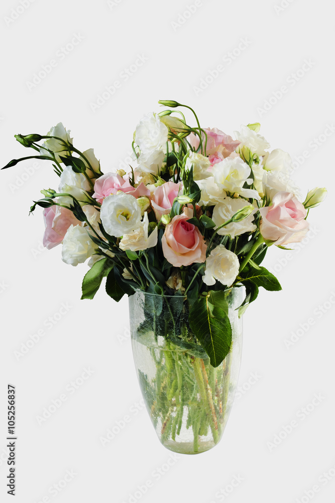 White flowers in a vase isolated on a white background