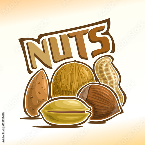 Vector illustration on the theme of the logo for nuts, consisting of almond, walnut, peanut, pistachio and hazelnut