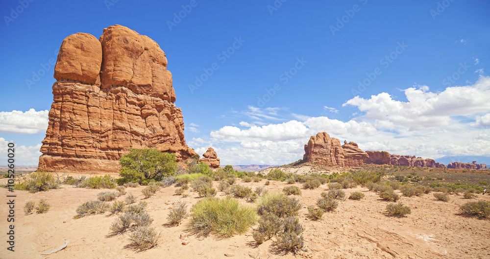 Wilderness and rock formations in Arches National Park, USA