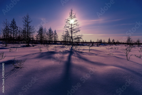 Winter landscape with forest, cloudy sky and sun. Filter. 