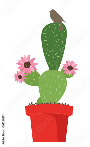 Kaktus Kaktee mit Blüte und Vogel im Topf Vektor