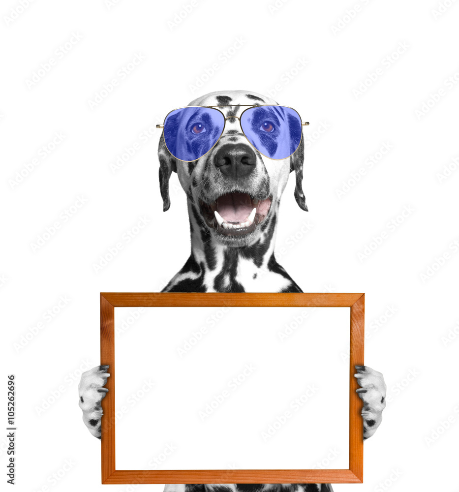Fotografie dog in glasses keeps frame in its paws
