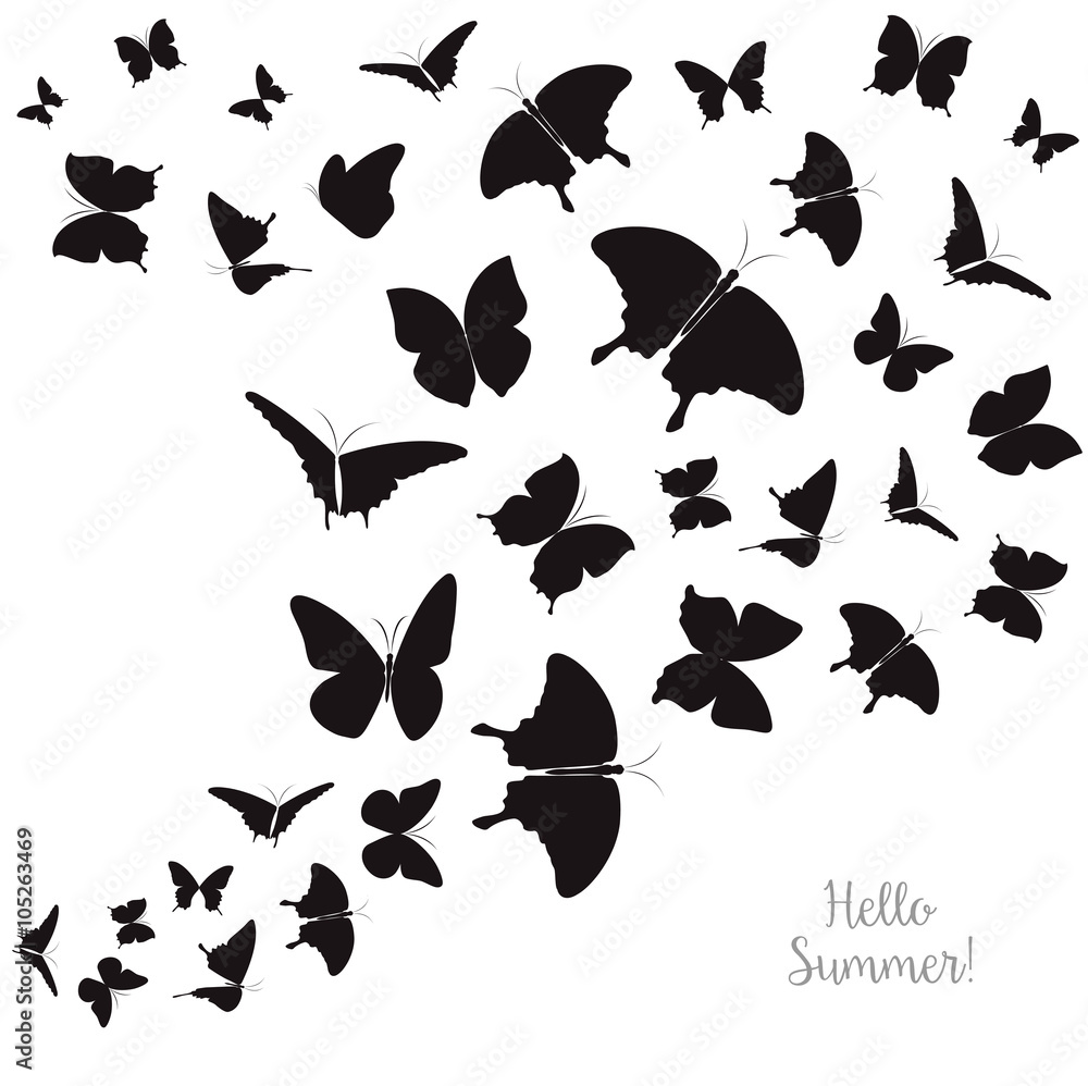 Abstract Template with Butterflies for Fashion and Postcard. Abstract Template with Butterflies for Fashion and Postcard.