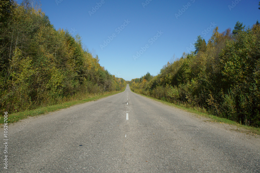 Autumn road in Kostroma Oblast, Russia. Autumn road in Kostroma Oblast, Russia.