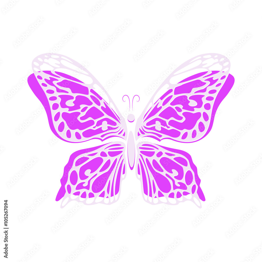 Vector butterfly drawn hand isolated on white background. Vector butterfly drawn hand isolated on white background.