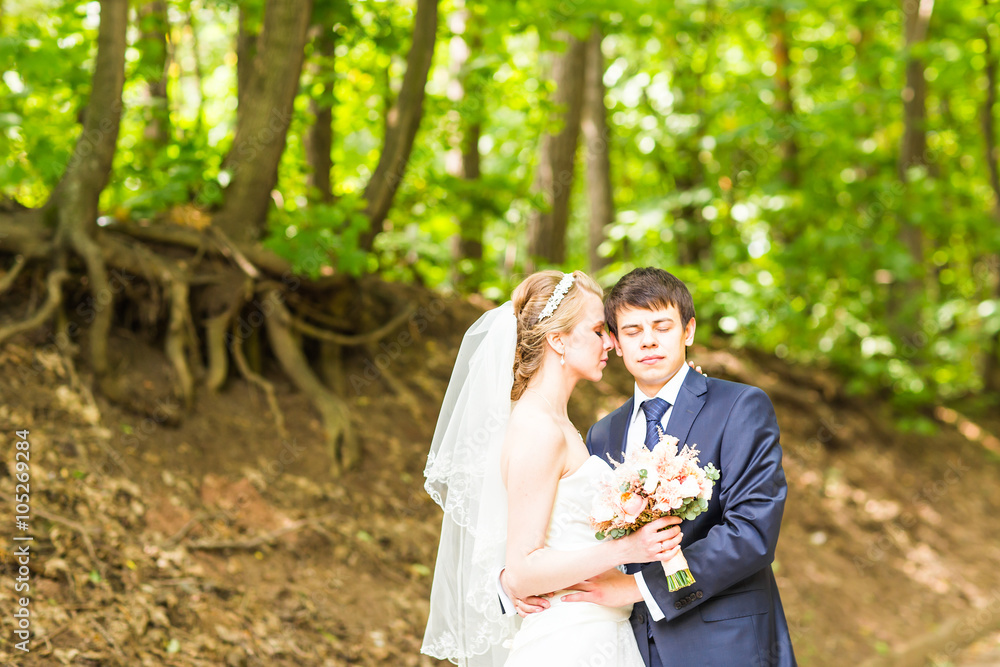 Wedding, Beautiful Romantic Bride and Groom Embracing Wedding, Beautiful Romantic Bride and Groom Embracing