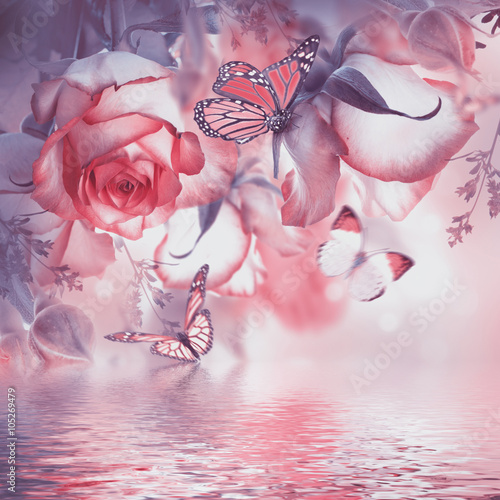 Bouquet of fresh roses, flower bright background and butterfly.