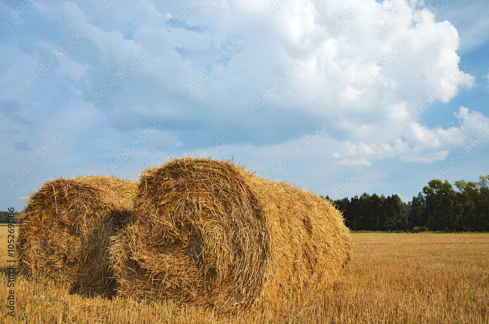 Straw bales in the countryside on a perfect sunny day