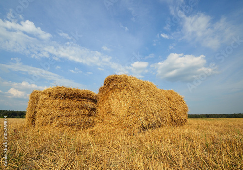 Straw bales in the countryside on a perfect sunny day