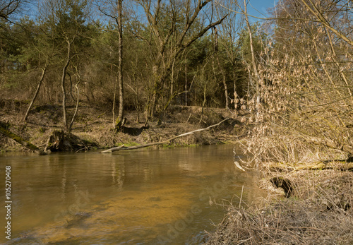 Photo of the river flowing through the forest