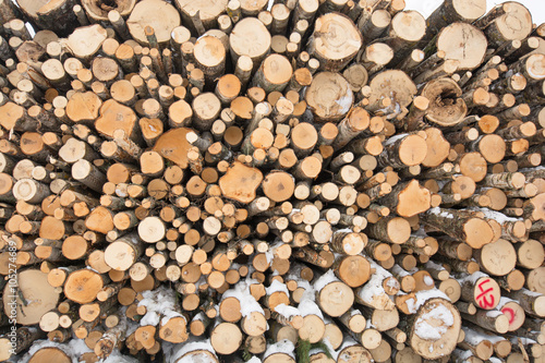 Felled Trees Timber Industry Abstract Background