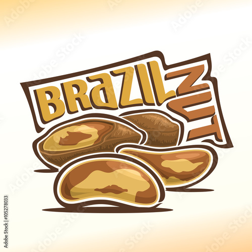 Vector illustration on the theme of the logo for brazil nuts, consisting of peeled brazil nutlets and two nuts in the nutshell