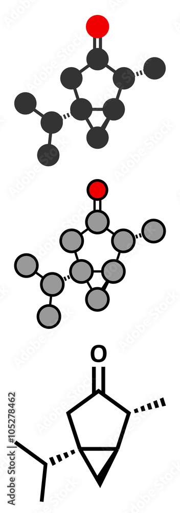 Thujone absinthe molecule. Thujone absinthe molecule.