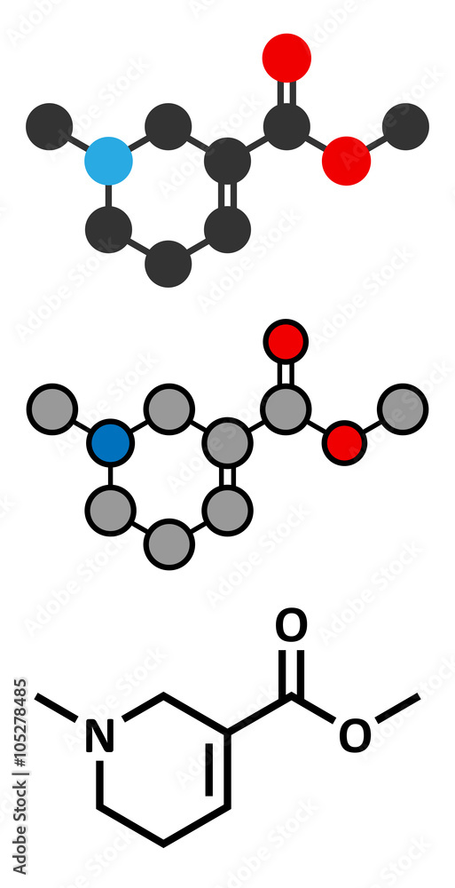 Arecoline areca nut stimulant molecule.