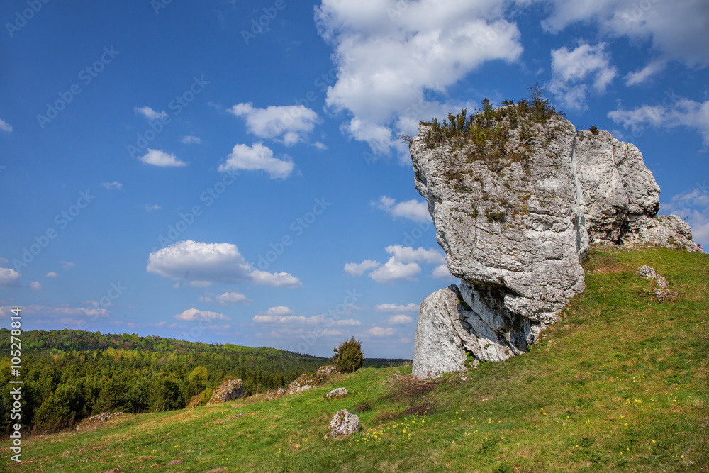Jurassic limestone rocks - Polish Jura.