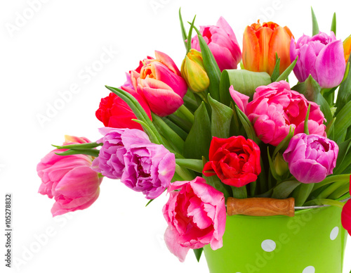Wallpaper Mural bouquet of  pink, purple and red  tulips Torontodigital.ca