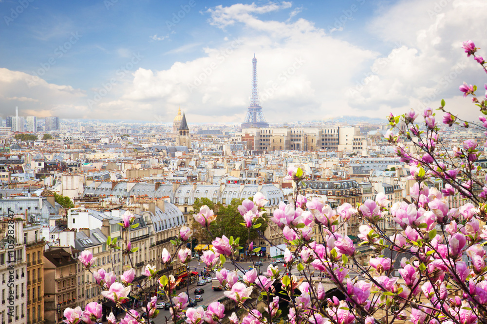 skyline of Paris with eiffel tower - obrazy, fototapety, plakaty 