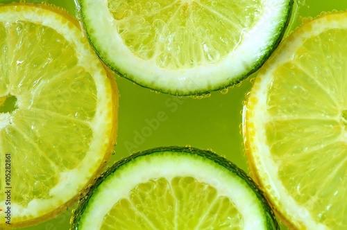 Citrus fruits background