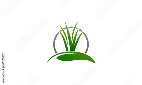 leaf grass