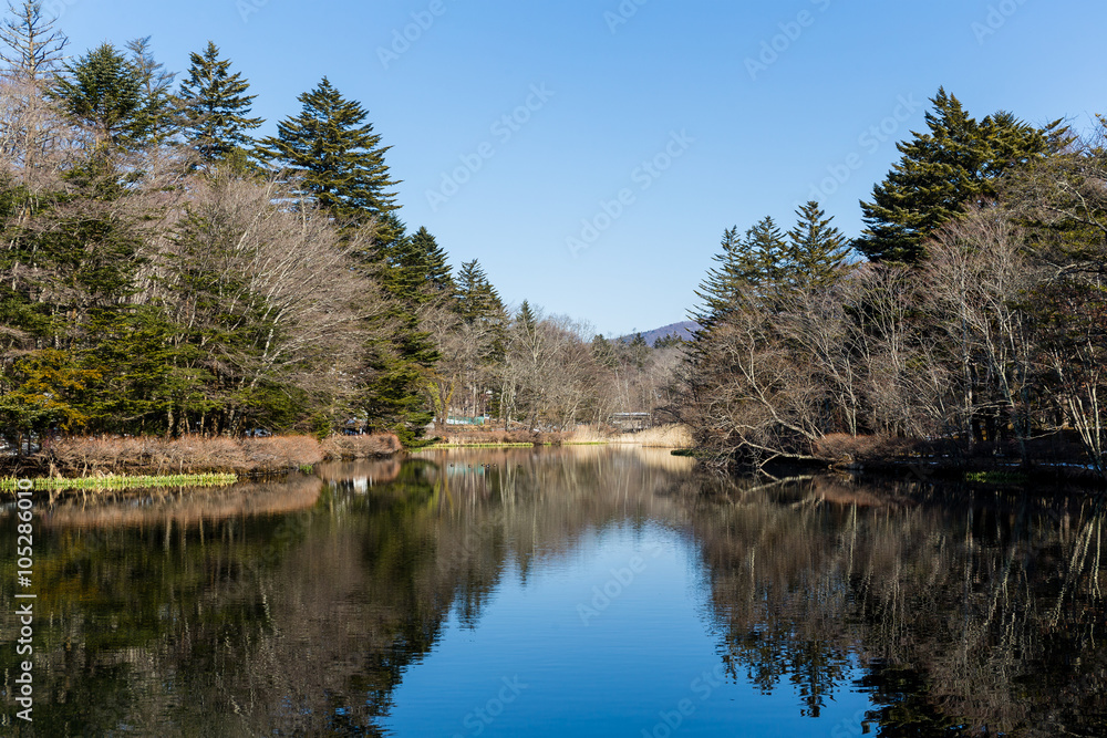 Pond in karuizawa