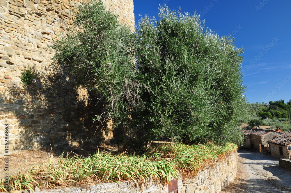 Obraz premium Toskania