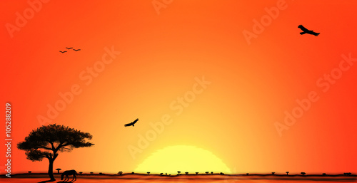 Sunset in African savanna photo