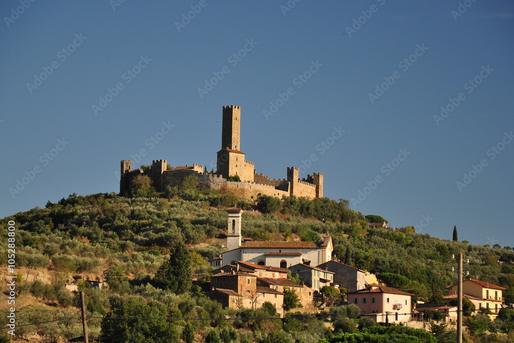 Fototapeta premium Zamek