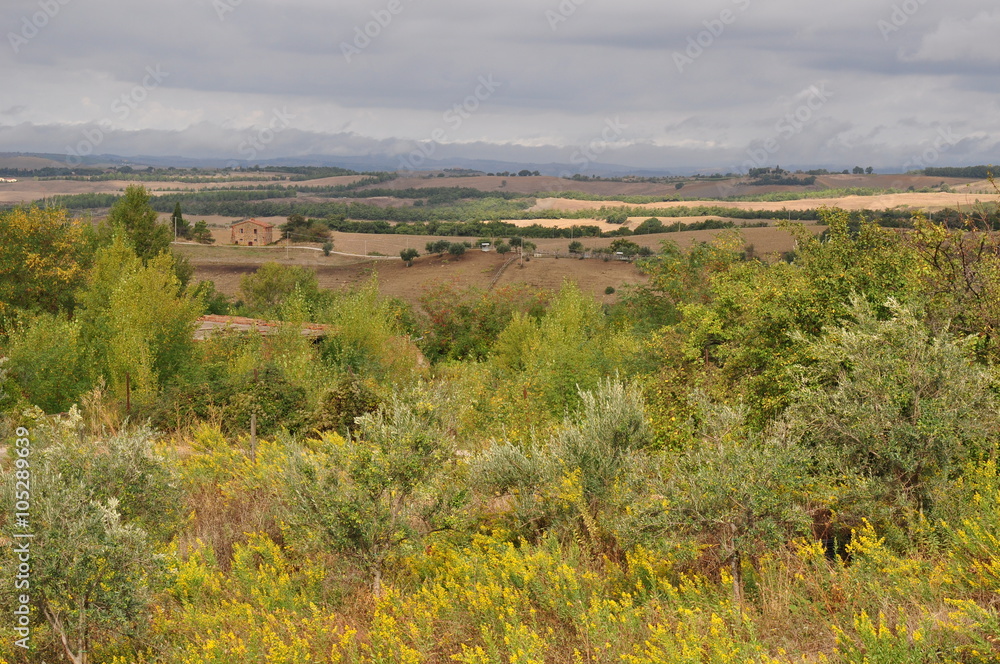 Obraz premium Toskania