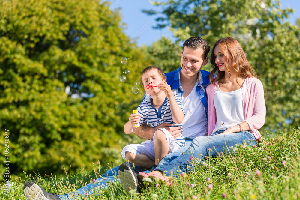 Family sitting on meadow playing with soap bubbles