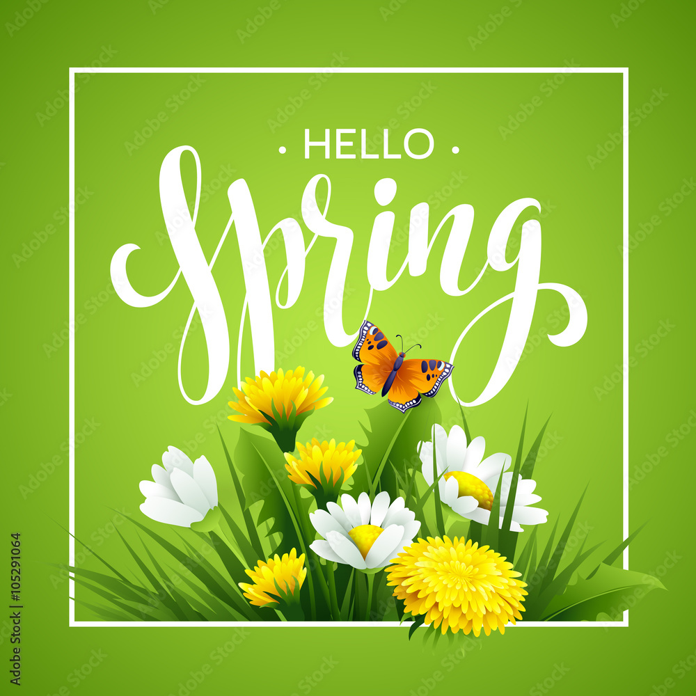 Inscription Spring Time on background with spring flowers. Spring floral background. Spring flowers. Spring flowers background design for spring