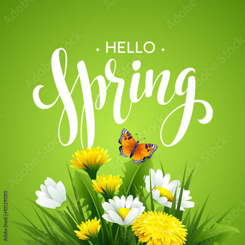 Inscription Spring Time on background with spring flowers. Spring floral background. Spring flowers. Spring flowers background design for spring