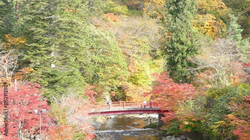 The Fudo stream and the red bridge at Mount Nakano-Momiji, Kuroishi city, Aomori prefecture, Tohoku region, Japan photo