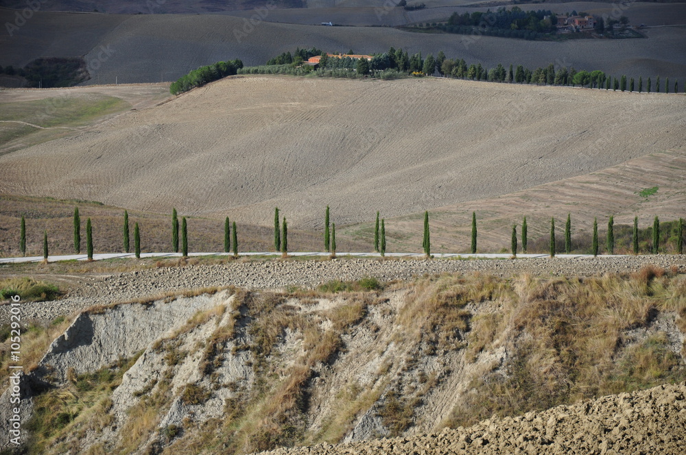 Obraz premium Toskania