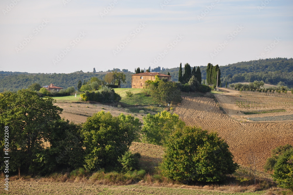 Fototapeta premium Toskania
