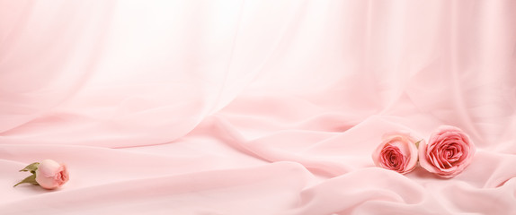 pink roses on soft silk