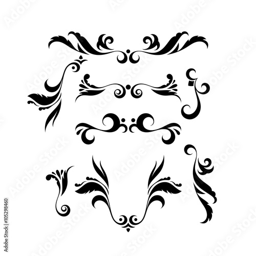 Vector set of elegant curls and swirls. Elements for design