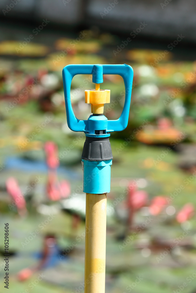 Single Water springer with blur background Single Water springer with blur background