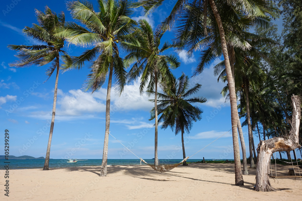 Coconut trees on blue-sky background at the beach