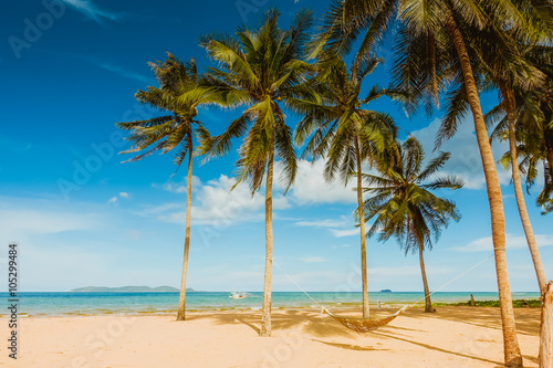 Fototapeta Naklejka Na Ścianę i Meble -  Coconut trees on blue-sky background at the beach