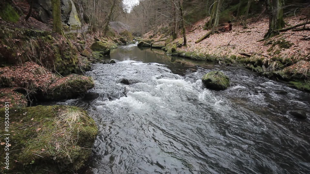 stream, river in forest landscape during autumn stream, river in forest landscape during autumn
