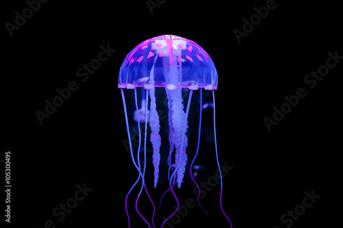 Jellyfish