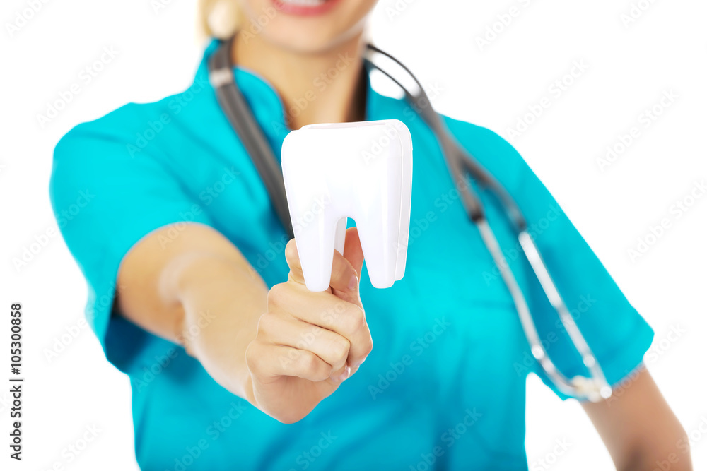 Happy dentist woman with stethoscope holding tooth model Happy dentist woman with stethoscope holding tooth model