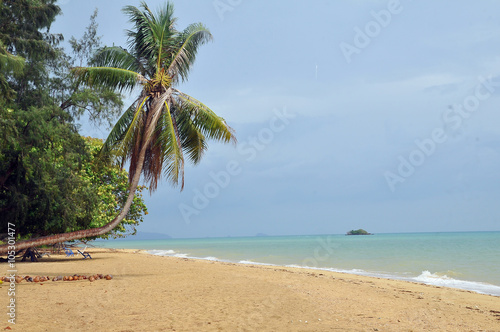 Beach wiew with palms in Koh Mak Thailand